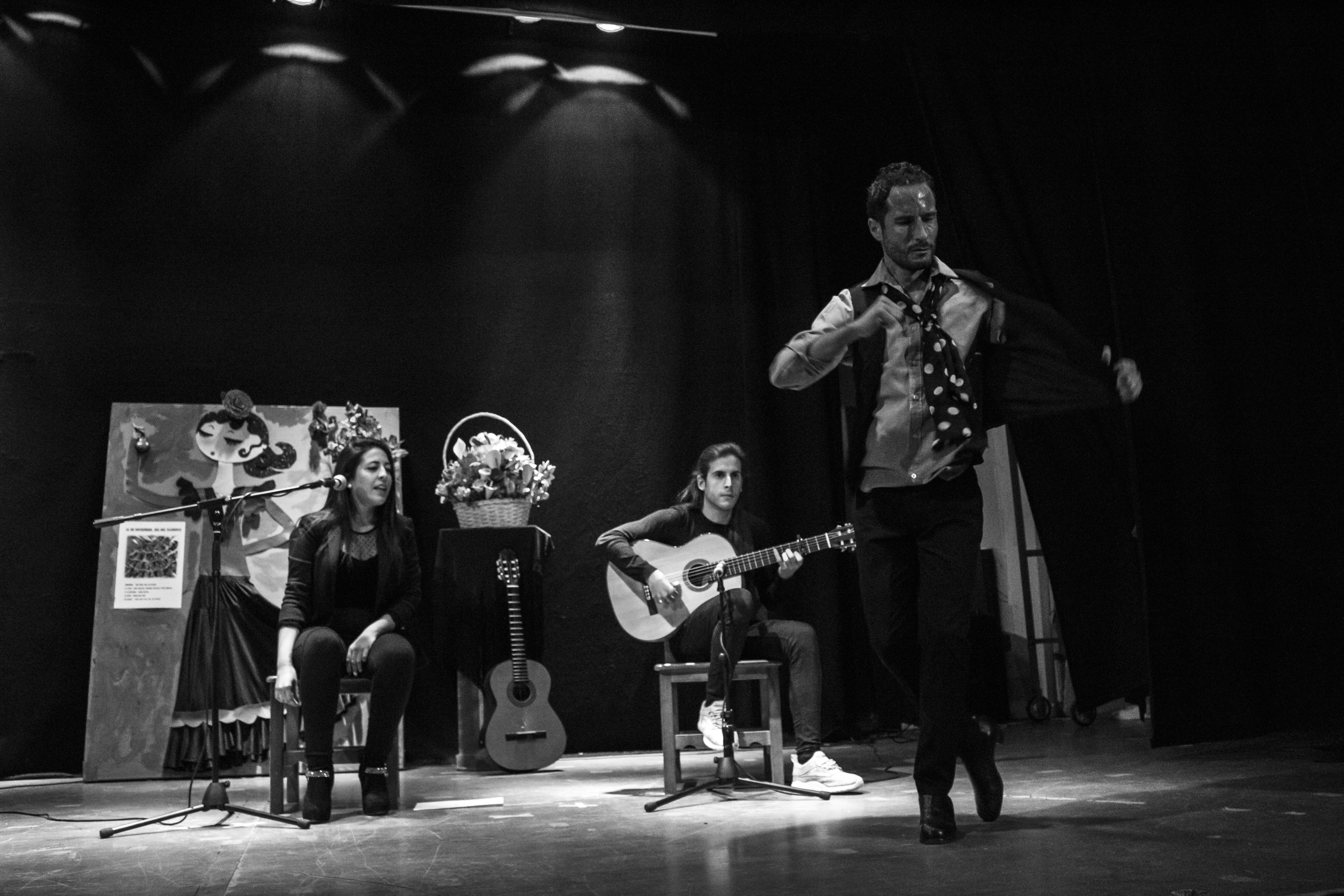 Día del flamenco
