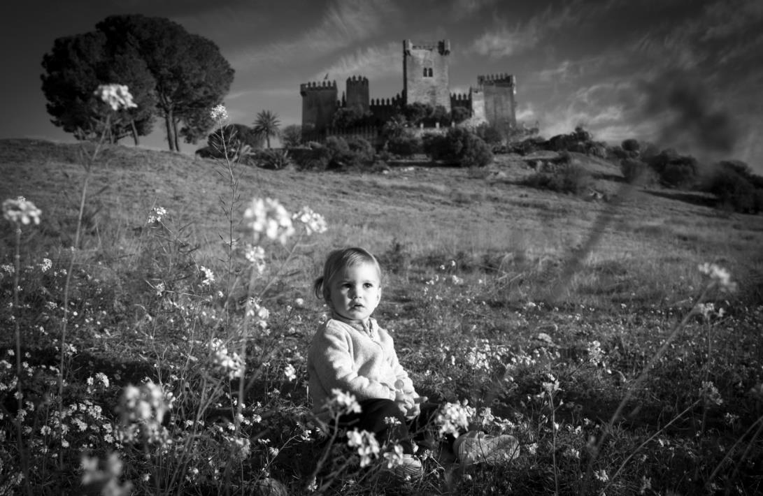 Europa, Patrimonio de todos